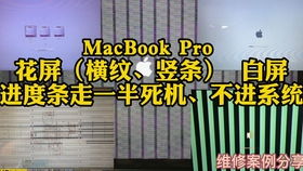 软硬件的完美搭配 让你的学习工作如虎添翼的电脑推荐