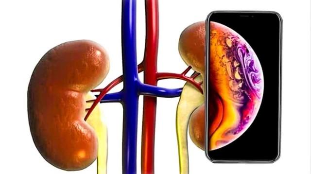 价格颠覆者的智慧 为什么计算机软硬件更理性？探秘走向行业繁荣而非泡沫的创新之道